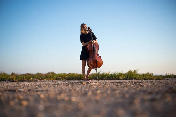 Молода красива дівчина з віолончеллю назовні — стокове фото