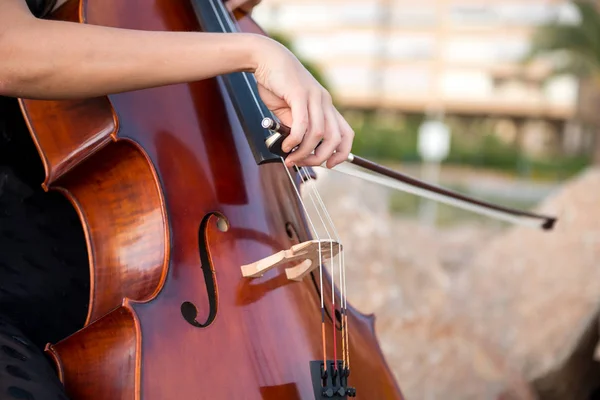 Detalle de niña con su violonchelo en el exterior — Foto de Stock