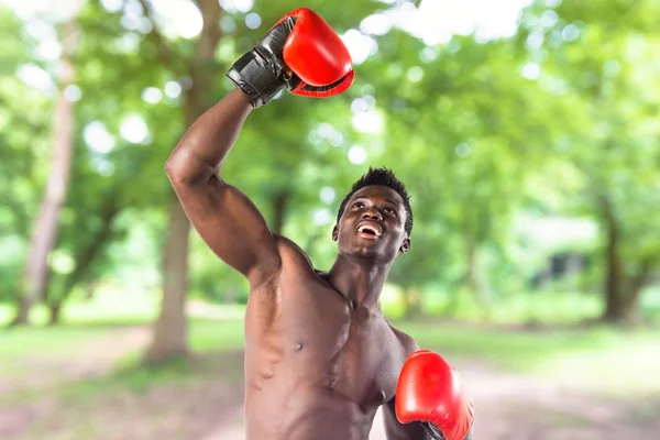 Handsome black man with boxing gloves