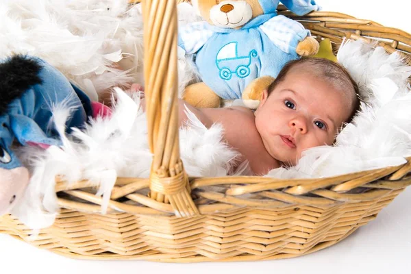 Mignon nouveau-né dans un panier en osier — Photo