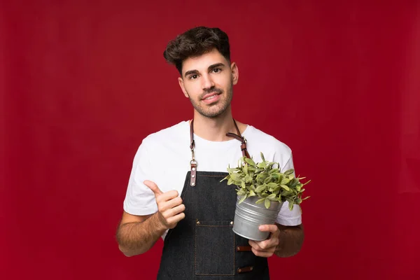 Jongeman Geïsoleerde Achtergrond Nemen Van Een Bloempot Met Duim Omhoog — Stockfoto