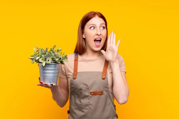 Giovane Rossa Giardiniere Donna Che Tiene Una Pianta Sfondo Giallo — Foto Stock