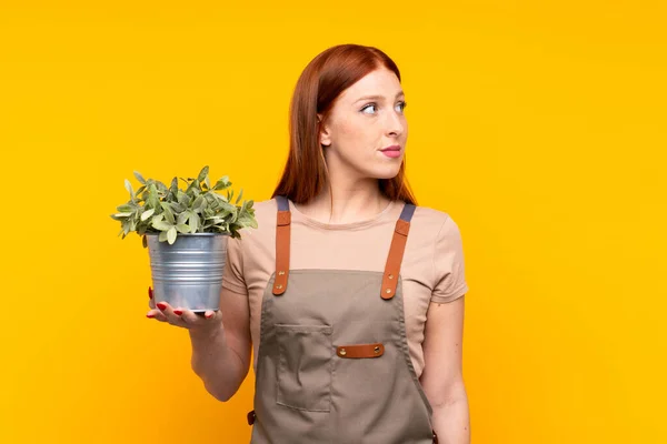 Giovane Rossa Giardiniere Donna Possesso Una Pianta Isolato Sfondo Giallo — Foto Stock