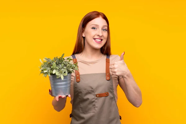 Giovane Rossa Giardiniere Donna Possesso Una Pianta Sfondo Giallo Isolato — Foto Stock