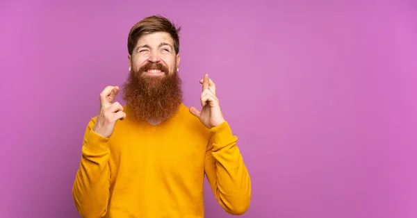 Redhead Man Long Beard Isolated Purple Background Fingers Crossing Wishing — Stock Photo, Image