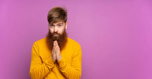 Hombre Pelirrojo Con Barba Larga Sobre Fondo Púrpura Aislado Mantiene — Foto de Stock