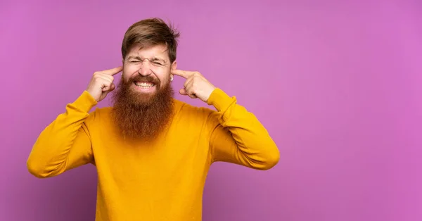 Roodharige Man Met Lange Baard Geïsoleerde Paarse Achtergrond Gefrustreerd Bedekt — Stockfoto