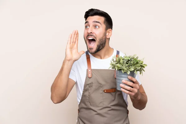 Jardinero Hombre Sosteniendo Una Planta Sobre Fondo Aislado Gritando Con —  Fotos de Stock