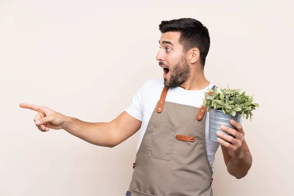 Jardinero Hombre Sosteniendo Una Planta Sobre Fondo Aislado Señalando Dedo —  Fotos de Stock