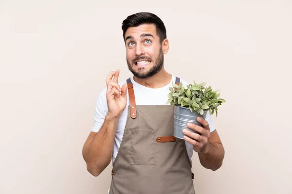 Jardineiro Homem Segurando Uma Planta Sobre Fundo Isolado Com Dedos — Fotografia de Stock