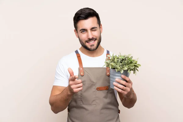 Jardinero Hombre Sosteniendo Una Planta Sobre Aislados Puntos Fondo Dedo —  Fotos de Stock