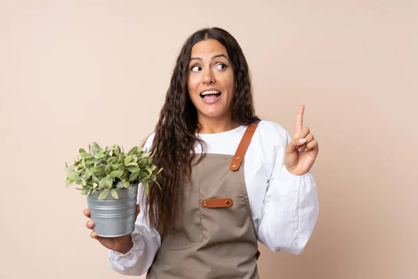 Jeune Femme Tenant Une Plante Dans Intention Réaliser Solution Tout — Photo