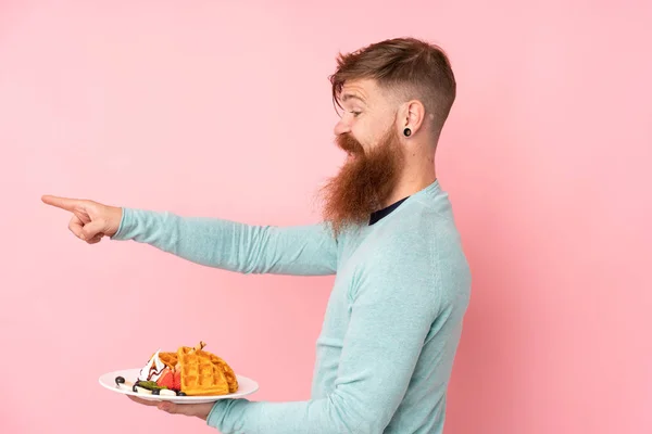 Redhead Άνθρωπος Μακριά Γενειάδα Κρατώντας Βάφλες Πάνω Από Απομονωμένο Ροζ — Φωτογραφία Αρχείου