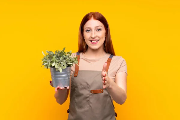 Giovane Rossa Giardiniere Donna Che Tiene Una Pianta Isolato Sfondo — Foto Stock