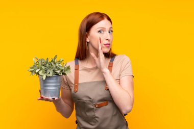 Genç kızıl saçlı bahçıvan kadın, elinde bir bitkiyle izole edilmiş sarı arka planda bir şeyler fısıldıyor.