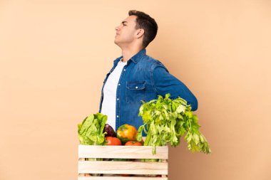 Bej arka planda izole bir kutuda taze sebze toplayan çiftçi gayret gösterdiği için sırt ağrısından muzdarip.