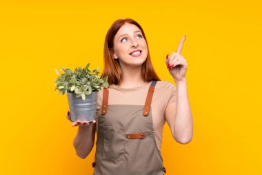 Genç kızıl saçlı bahçıvan kadın, sarı arka planda bir bitki tutuyor işaret parmağıyla işaret ediyor. Harika bir fikir.