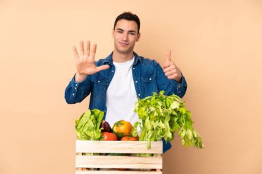 Bej arka planda izole edilmiş bir kutuda taze sebze toplayan çiftçi parmaklarıyla altı tane sayıyor.
