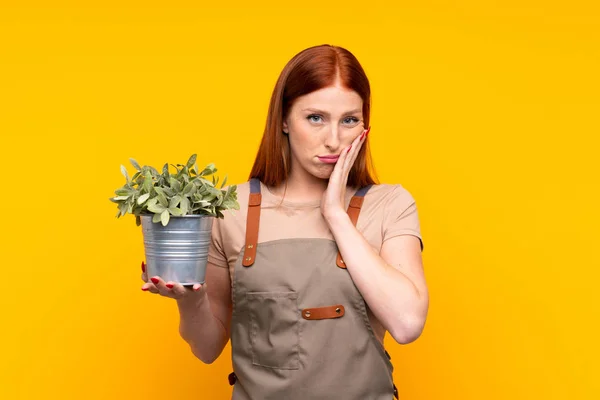 Giovane Rossa Giardiniere Donna Possesso Una Pianta Sfondo Giallo Isolato — Foto Stock