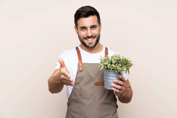 Jardinero Hombre Sosteniendo Una Planta Sobre Fondo Aislado Apretón Manos —  Fotos de Stock