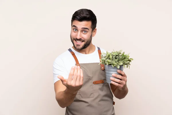 Jardinero Hombre Sosteniendo Una Planta Sobre Fondo Aislado Invitando Venir —  Fotos de Stock