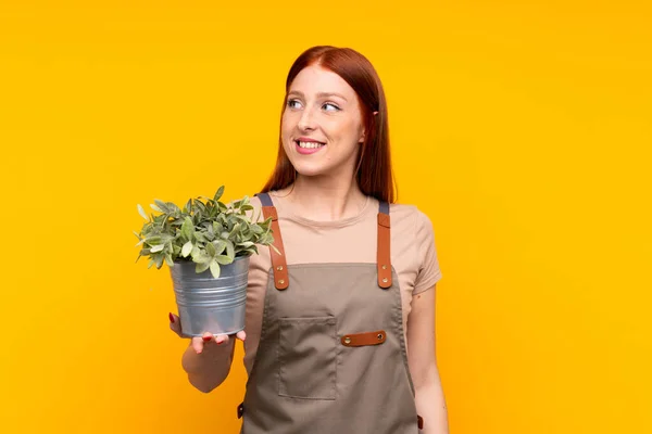 Giovane Rossa Giardiniere Donna Possesso Una Pianta Isolato Sfondo Giallo — Foto Stock