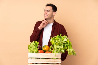 Bej arka planda izole edilmiş bir kutuda taze sebze toplayan çiftçi yukarı bakarken bir fikir düşünüyor.