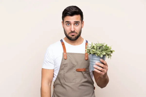 Jardinero Hombre Sosteniendo Una Planta Sobre Aislado Fondo Triste —  Fotos de Stock