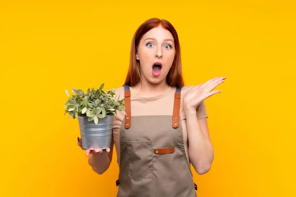 Giovane Rossa Giardiniere Donna Possesso Una Pianta Sfondo Giallo Isolato — Foto Stock