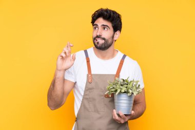 Bahçıvan sakallı, sarı arka planda, parmakları çapraz.