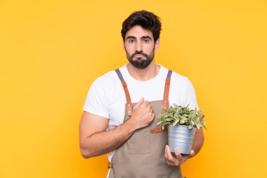 Bahçıvan sakallı, sarı arka planda yalvarıyor.