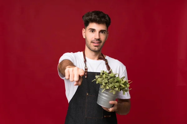 Junger Mann Über Isoliertem Hintergrund Nimmt Einen Blumentopf Und Zeigt — Stockfoto