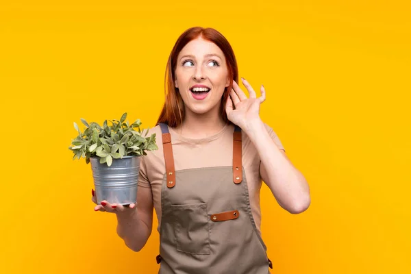 Giovane Rossa Giardiniere Donna Possesso Una Pianta Sfondo Giallo Isolato — Foto Stock