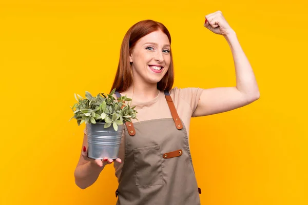 Giovane Rossa Giardiniere Donna Possesso Una Pianta Sfondo Giallo Isolato — Foto Stock