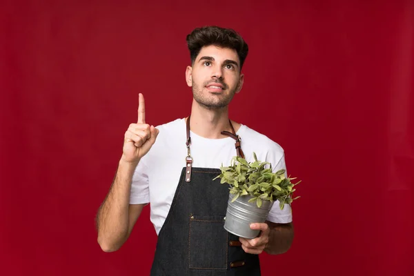 Junger Mann Mit Isoliertem Hintergrund Nimmt Einen Blumentopf Und Zeigt — Stockfoto