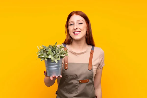 Giovane Rossa Giardiniere Donna Possesso Una Pianta Isolato Sfondo Giallo — Foto Stock