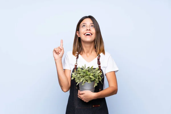 Giovane Donna Sfondo Blu Isolato Prendendo Vaso Fiori Indicando — Foto Stock