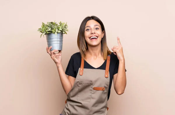 Jonge Vrouw Houdt Een Plant Omhoog Wijzend Een Geweldig Idee — Stockfoto