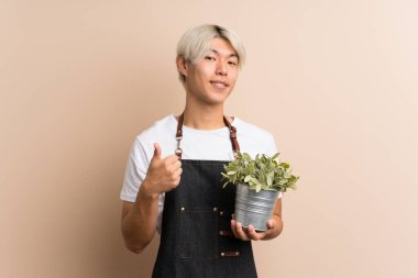 Asyalı genç bir adam soyutlanmış arka planda bir saksı aldı ve başparmağını kaldırdı.