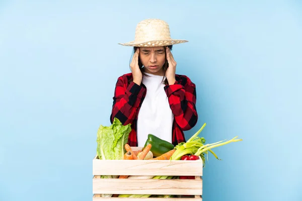 Joven Agricultora Mujer Sosteniendo Verduras Frescas Una Cesta Madera Con — Foto de Stock