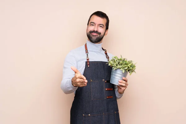 Man Houdt Een Plant Boven Geïsoleerde Achtergrond Schudden Handen Voor — Stockfoto