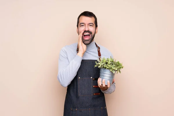 Homem Segurando Uma Planta Sobre Fundo Isolado Gritando Anunciando Algo — Fotografia de Stock