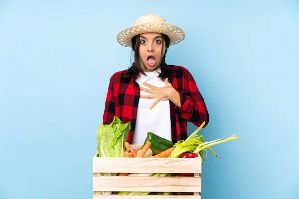 Joven Agricultora Mujer Sosteniendo Verduras Frescas Una Cesta Madera Sorprendida — Foto de Stock