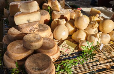Casu Marzu, solucanlı sardalya peyniri.