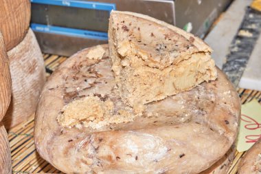 Casu Marzu, solucanlı sardalya peyniri.
