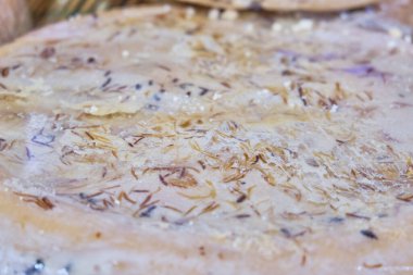 Casu Marzu, solucanlı sardalya peyniri.