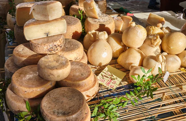 Casu Marzu, queso sardo con gusanos —  Fotos de Stock
