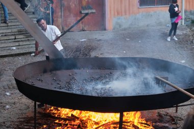 Barbagia, Belvi, Sardinya, İtalya 'da sonbaharda kızarmış kestane