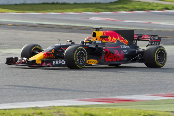 Conductor Verstappen. Equipo Red Bull —  Fotos de Stock