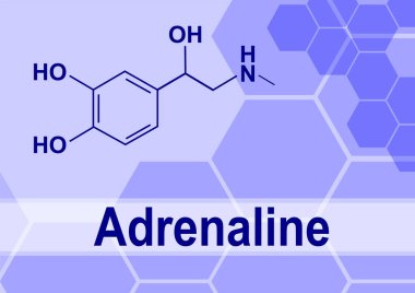 Adrenalin ya da epinefrin hormonu kimyasal yapısı. Epinefrin normalde iki böbrek üstü bezi tarafından üretilir.